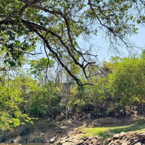 cachoeira-beira-rio-pirenopolis