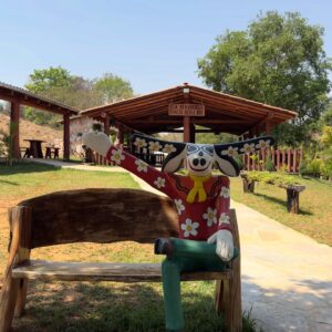 mascarado-foto-pirenopolis-rancho-beira-rio